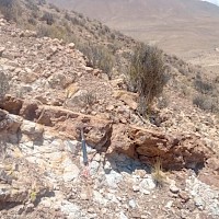 Francisca South Zone Flat lying quartz-limonite vein in soft sericte – argillic altered intrusive